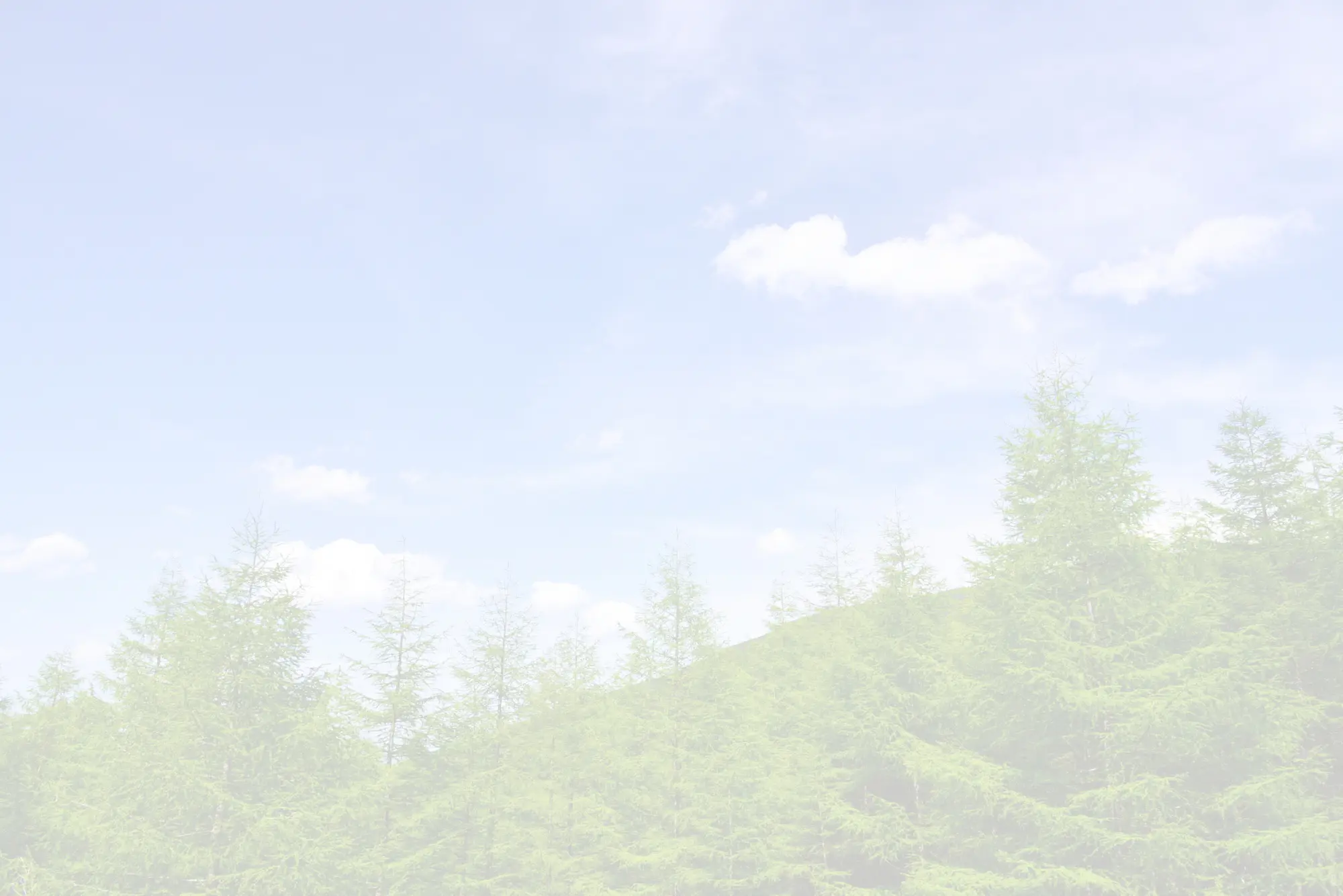 背景